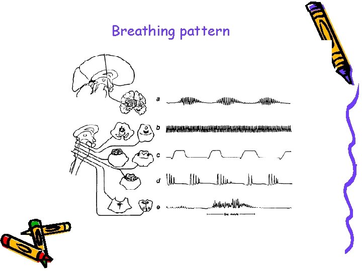 Breathing pattern 