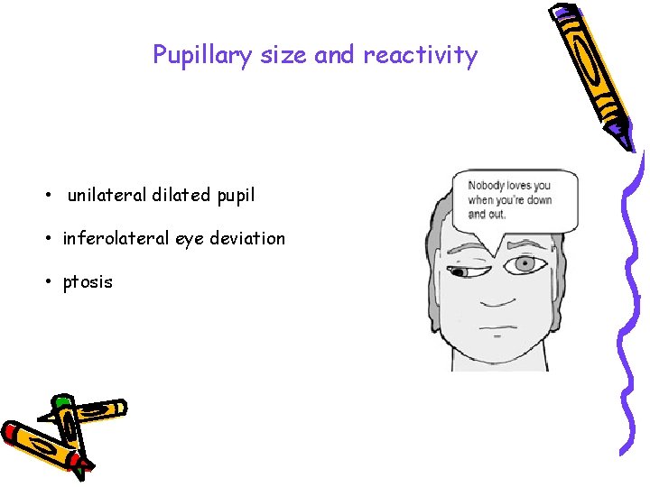 Pupillary size and reactivity • unilateral dilated pupil • inferolateral eye deviation • ptosis
