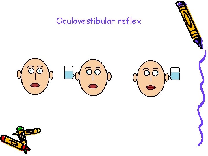 Oculovestibular reflex 