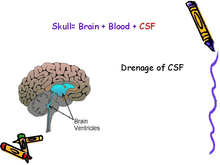 Skull= Brain + Blood + CSF Drenage of CSF 