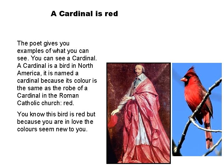 A Cardinal is red The poet gives you examples of what you can see.