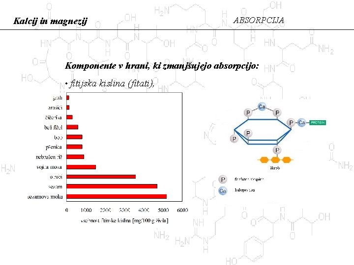 Kalcij in magnezij ABSORPCIJA Komponente v hrani, ki zmanjšujejo absorpcijo: • fitijska kislina (fitati),