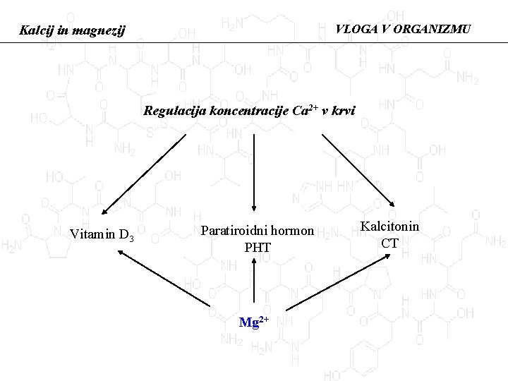 VLOGA V ORGANIZMU Kalcij in magnezij Regulacija koncentracije Ca 2+ v krvi Vitamin D