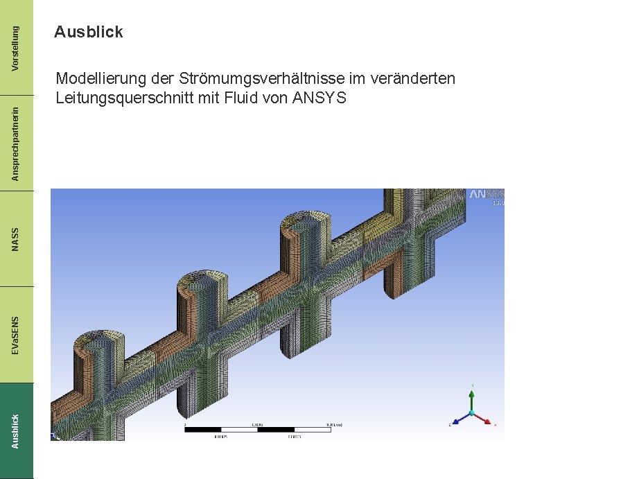 Vorstellung Ansprechpartnerin NASS EVa. SENS Ausblick Modellierung der Strömumgsverhältnisse im veränderten Leitungsquerschnitt mit Fluid