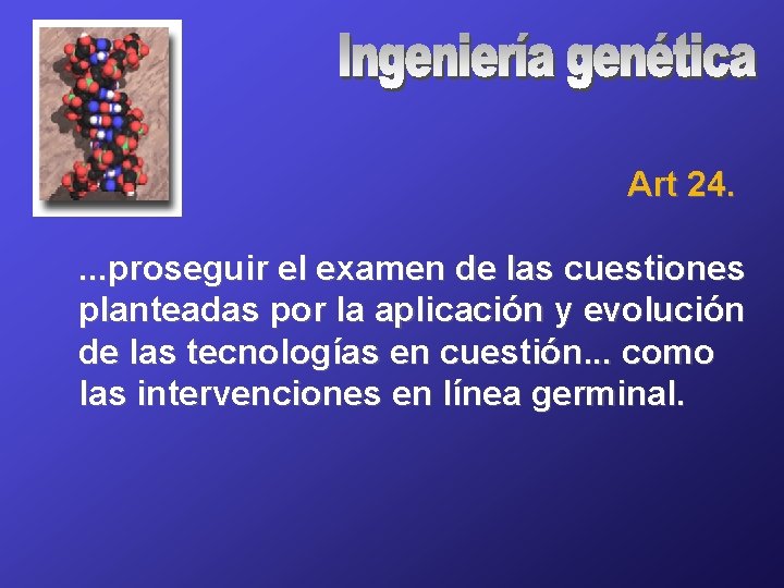 Art 24. . proseguir el examen de las cuestiones planteadas por la aplicación y