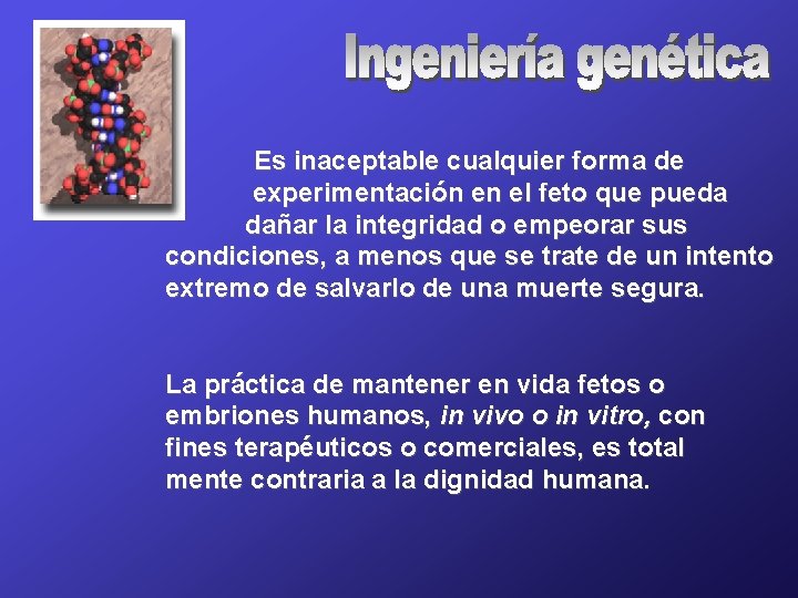 Es inaceptable cualquier forma de experimentación en el feto que pueda dañar la integridad