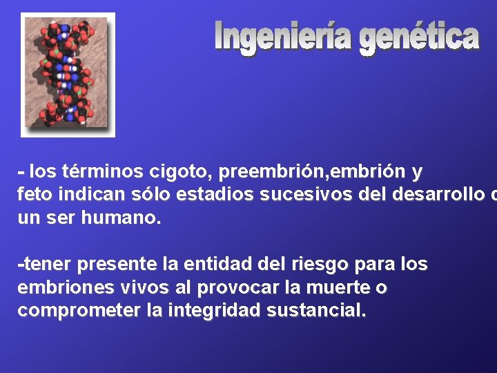 - los términos cigoto, preembrión, embrión y feto indican sólo estadios sucesivos del desarrollo