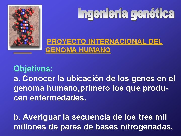 PROYECTO INTERNACIONAL DEL GENOMA HUMANO Objetivos: a. Conocer la ubicación de los genes en