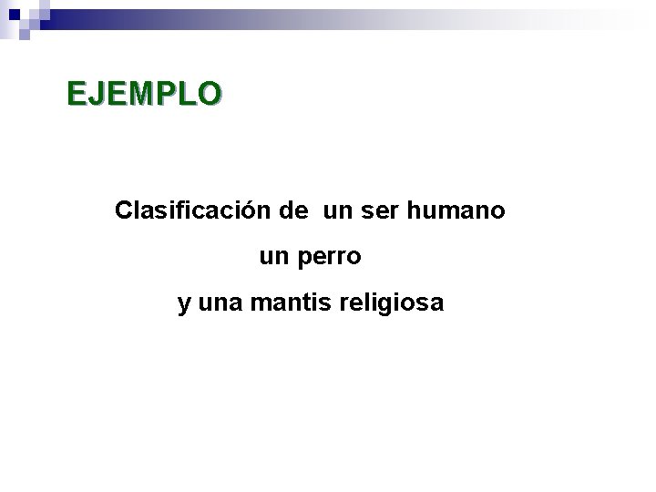 EJEMPLO Clasificación de un ser humano un perro y una mantis religiosa 