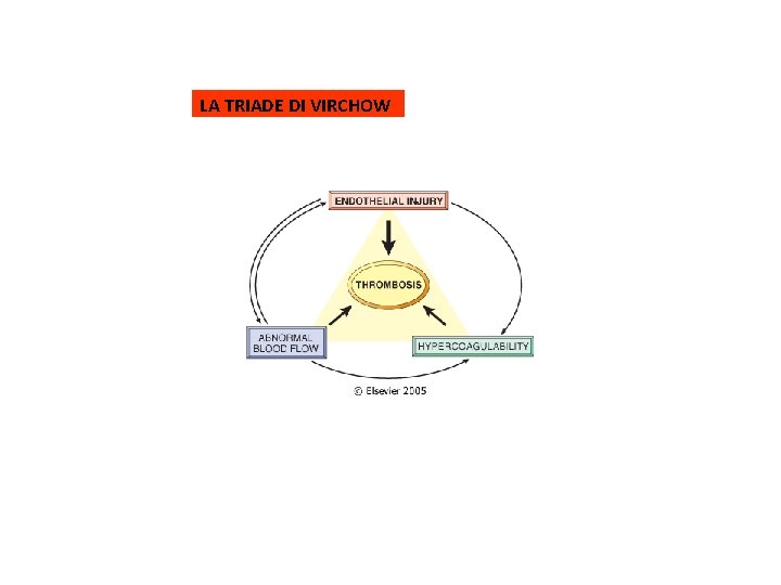 LA TRIADE DI VIRCHOW 