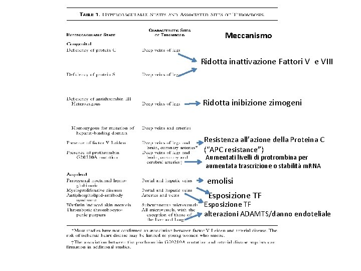 Meccanismo Ridotta inattivazione Fattori V e VIII Ridotta inibizione zimogeni Resistenza all’azione della Proteina