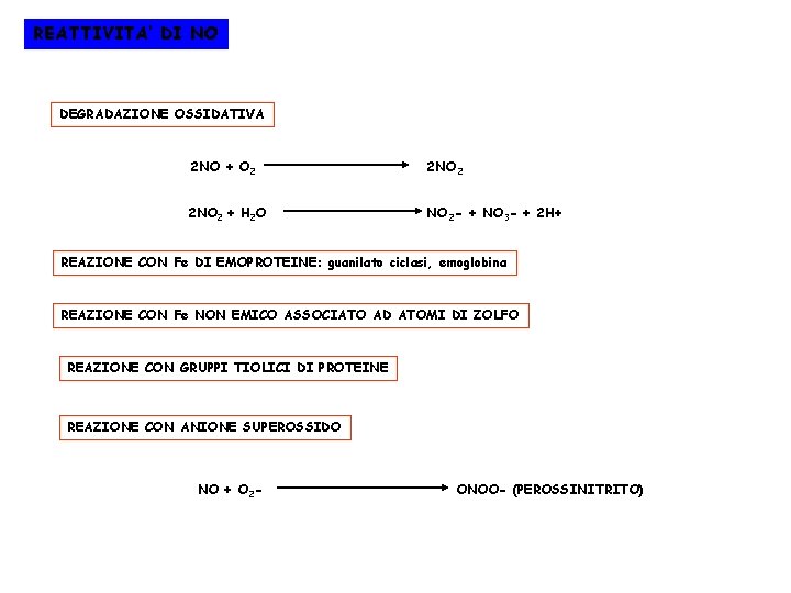 REATTIVITA’ DI NO DEGRADAZIONE OSSIDATIVA 2 NO + O 2 2 NO 2 +