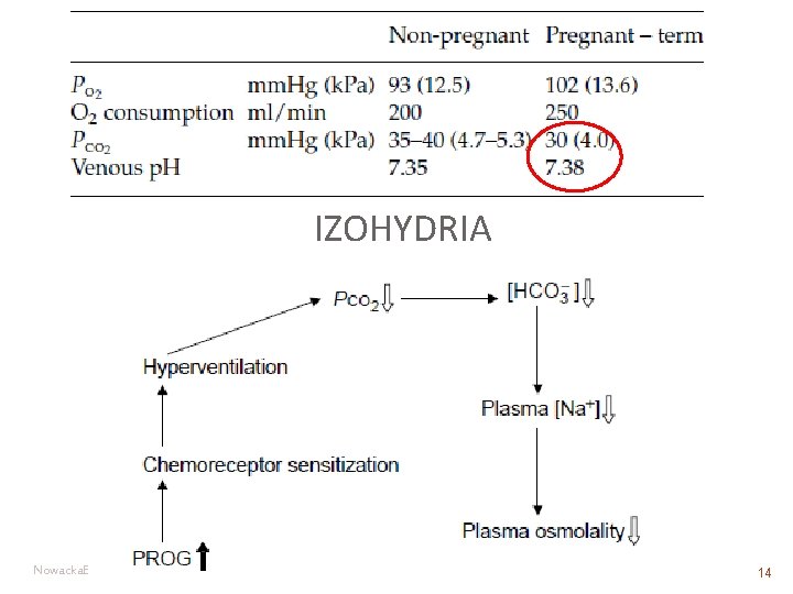 IZOHYDRIA Nowacka. E 14 