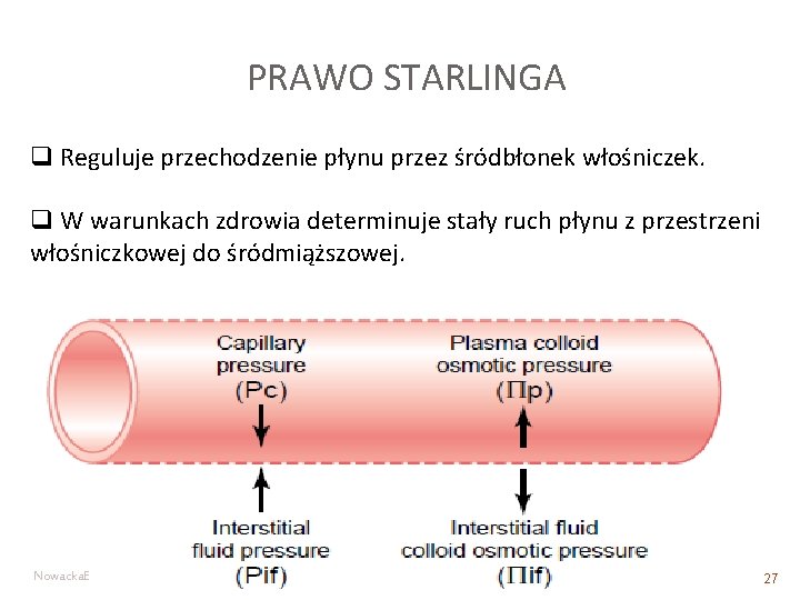 PRAWO STARLINGA q Reguluje przechodzenie płynu przez śródbłonek włośniczek. q W warunkach zdrowia determinuje