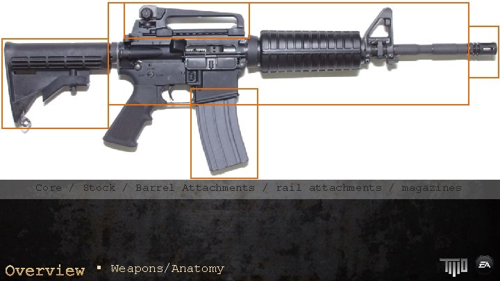 Core / Stock / Barrel Attachments / rail attachments / magazines Overview § Weapons/Anatomy