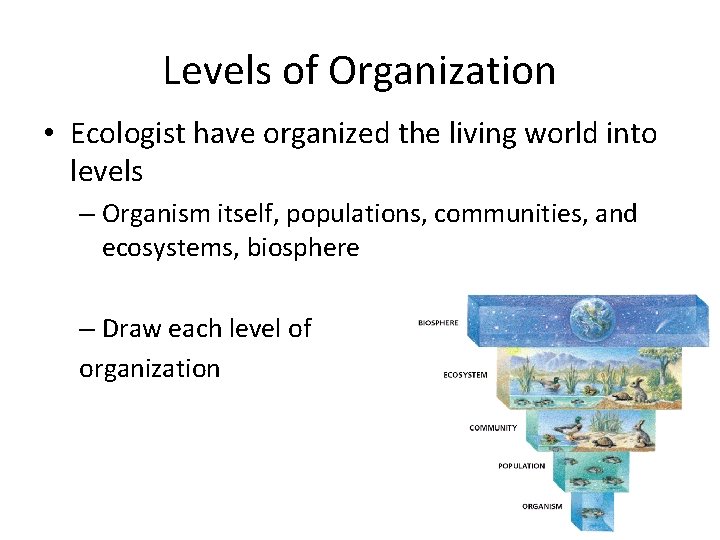 Levels of Organization • Ecologist have organized the living world into levels – Organism