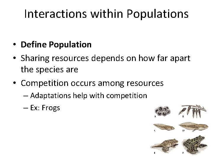 Interactions within Populations • Define Population • Sharing resources depends on how far apart