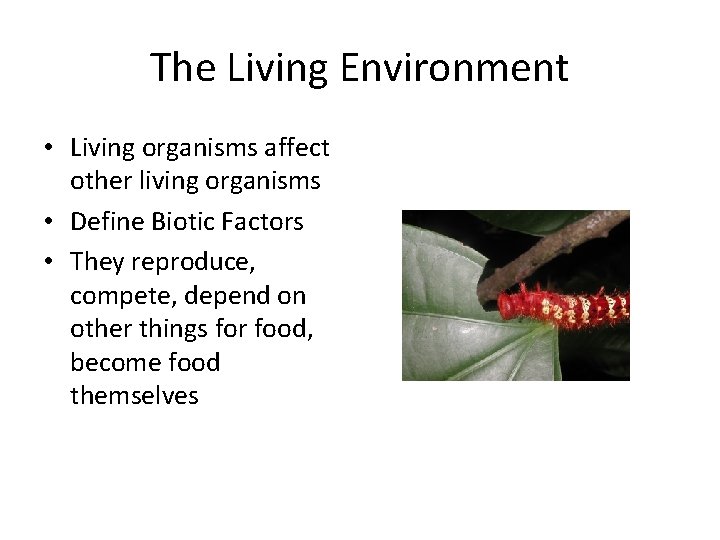 The Living Environment • Living organisms affect other living organisms • Define Biotic Factors