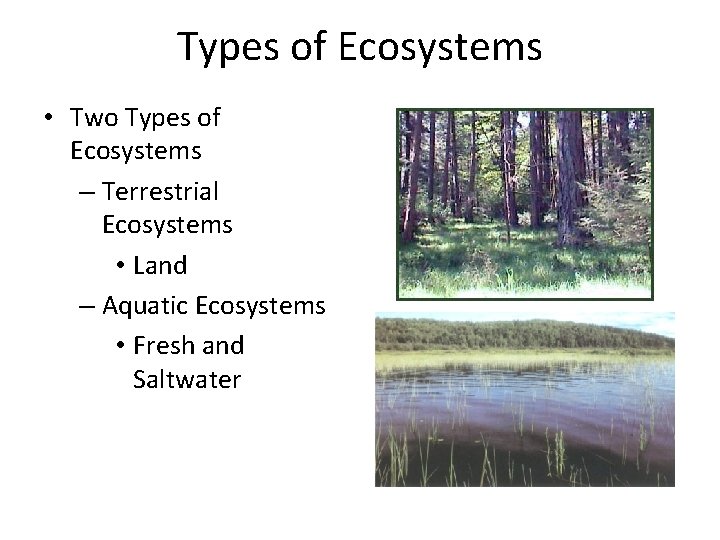 Types of Ecosystems • Two Types of Ecosystems – Terrestrial Ecosystems • Land –