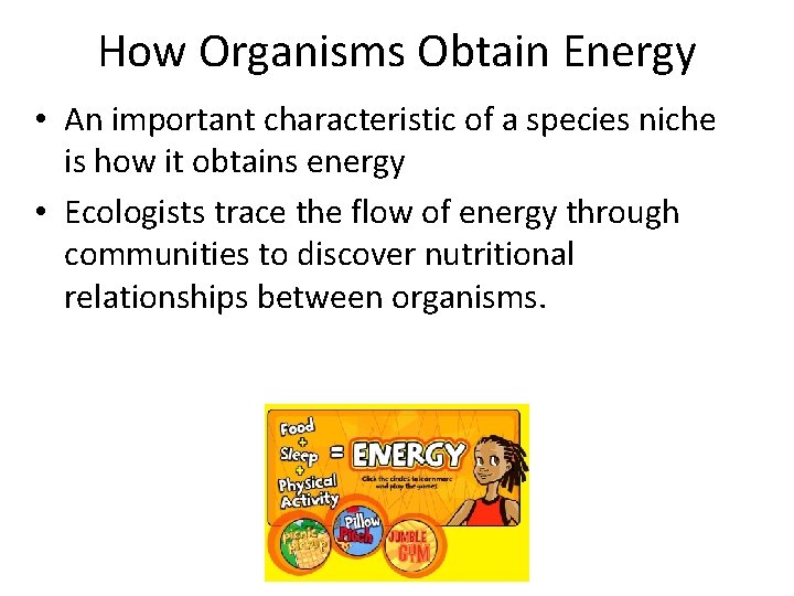 How Organisms Obtain Energy • An important characteristic of a species niche is how