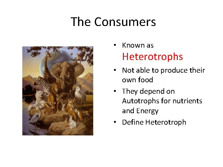 The Consumers • Known as Heterotrophs • Not able to produce their own food