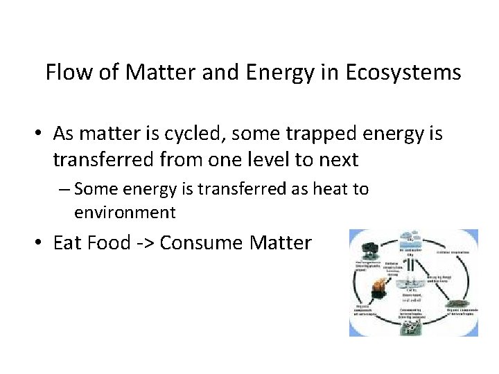 Flow of Matter and Energy in Ecosystems • As matter is cycled, some trapped