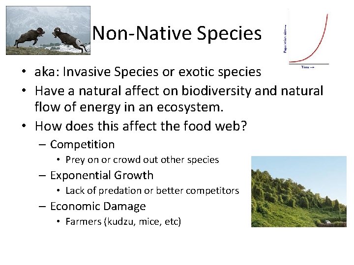 Non-Native Species • aka: Invasive Species or exotic species • Have a natural affect