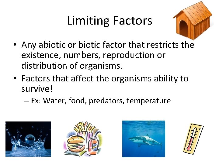 Limiting Factors • Any abiotic or biotic factor that restricts the existence, numbers, reproduction