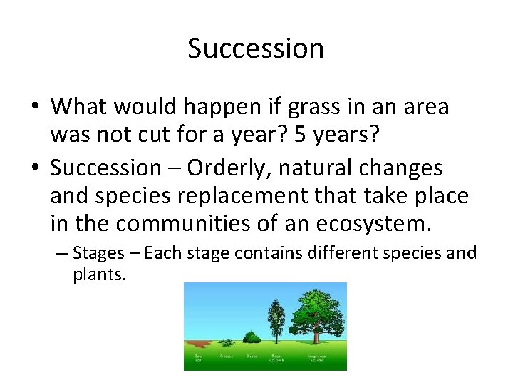 Succession • What would happen if grass in an area was not cut for