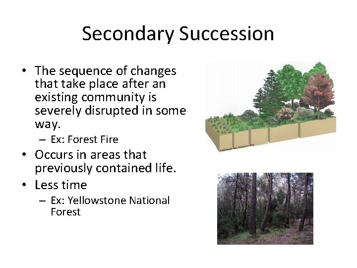 Secondary Succession • The sequence of changes that take place after an existing community