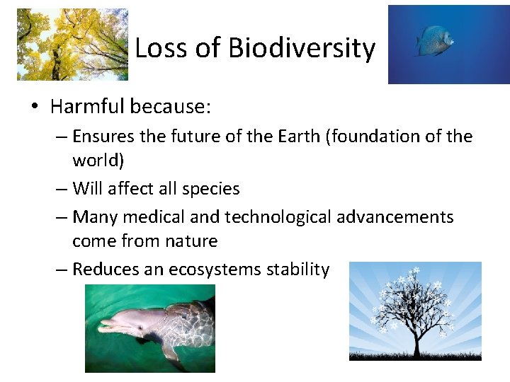 Loss of Biodiversity • Harmful because: – Ensures the future of the Earth (foundation