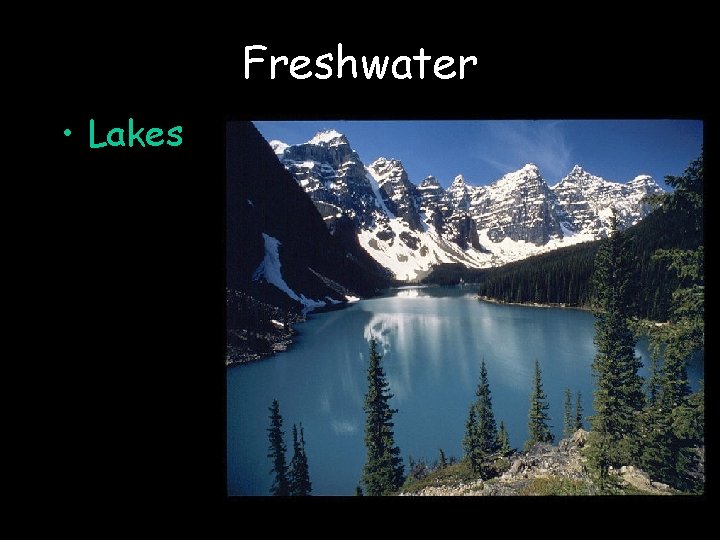 Freshwater • Lakes 