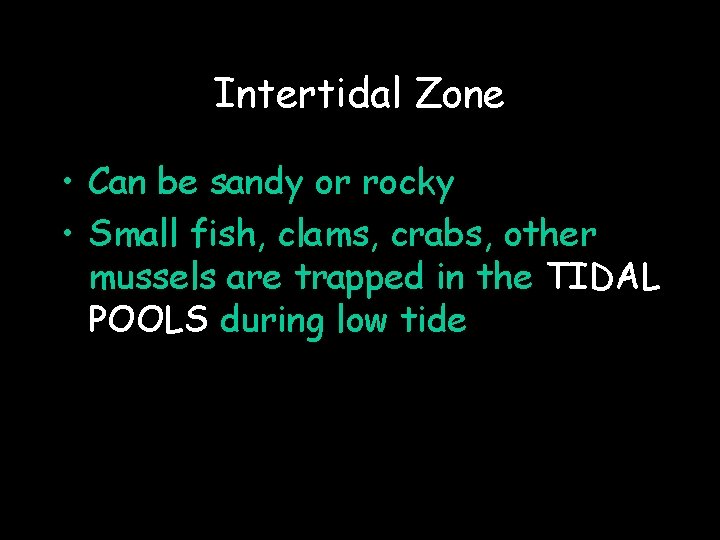 Intertidal Zone • Can be sandy or rocky • Small fish, clams, crabs, other