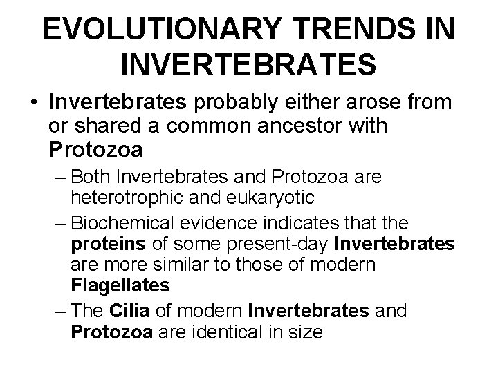 EVOLUTIONARY TRENDS IN INVERTEBRATES • Invertebrates probably either arose from or shared a common