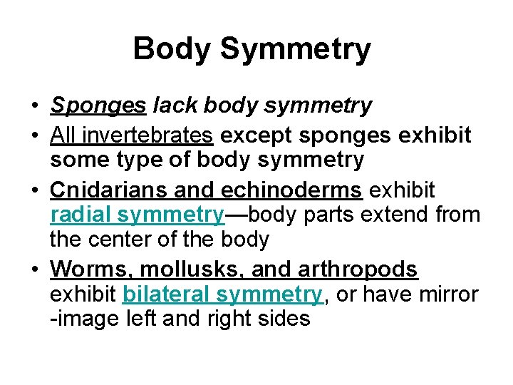 Body Symmetry • Sponges lack body symmetry • All invertebrates except sponges exhibit some