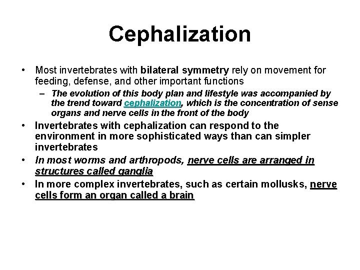 Cephalization • Most invertebrates with bilateral symmetry rely on movement for feeding, defense, and