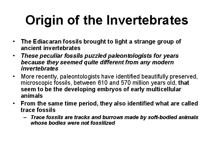 Origin of the Invertebrates • The Ediacaran fossils brought to light a strange group