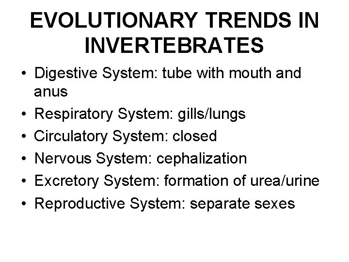 EVOLUTIONARY TRENDS IN INVERTEBRATES • Digestive System: tube with mouth and anus • Respiratory