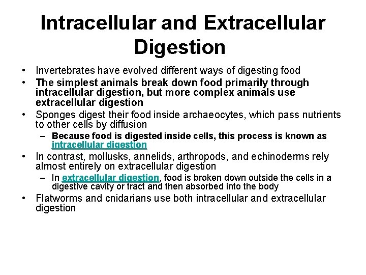 Intracellular and Extracellular Digestion • Invertebrates have evolved different ways of digesting food •