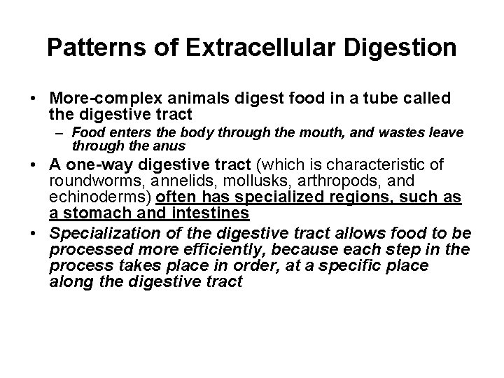 Patterns of Extracellular Digestion • More-complex animals digest food in a tube called the