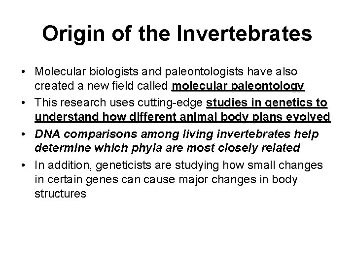 Origin of the Invertebrates • Molecular biologists and paleontologists have also created a new