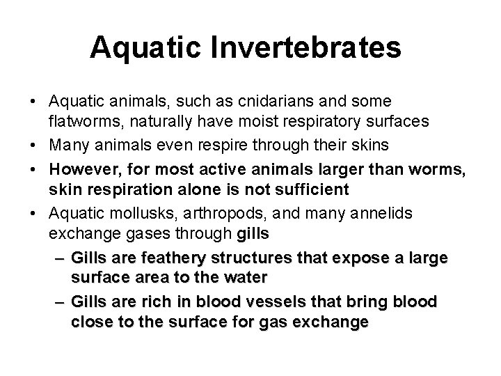 Aquatic Invertebrates • Aquatic animals, such as cnidarians and some flatworms, naturally have moist