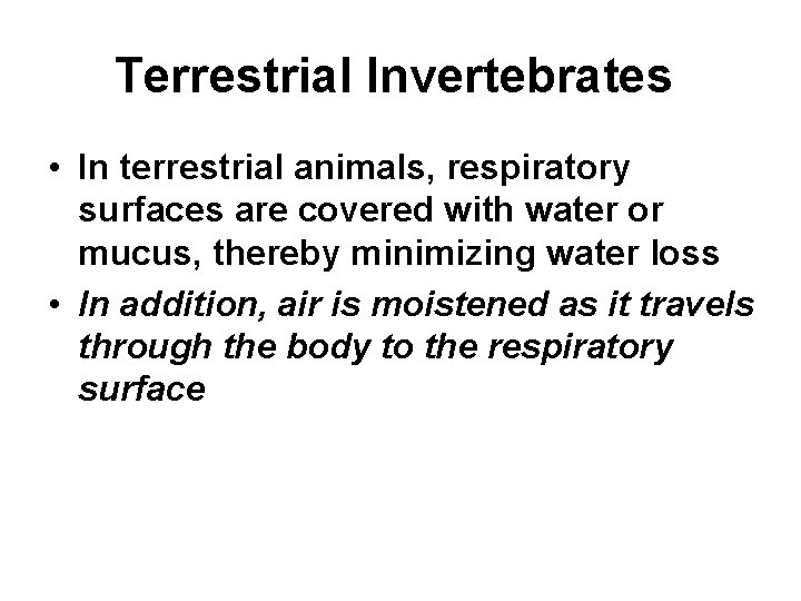 Terrestrial Invertebrates • In terrestrial animals, respiratory surfaces are covered with water or mucus,