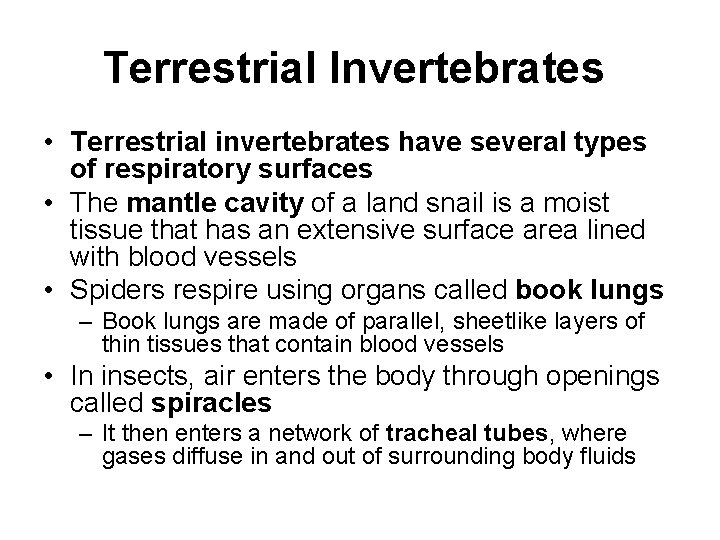 Terrestrial Invertebrates • Terrestrial invertebrates have several types of respiratory surfaces • The mantle