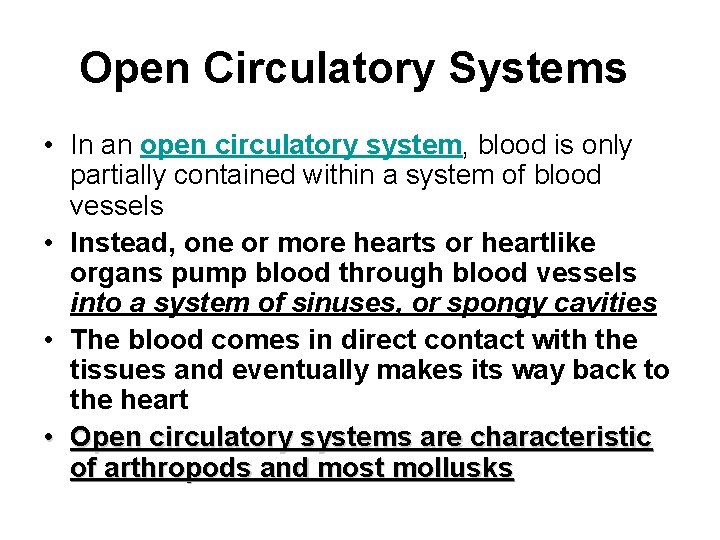 Open Circulatory Systems • In an open circulatory system, blood is only partially contained