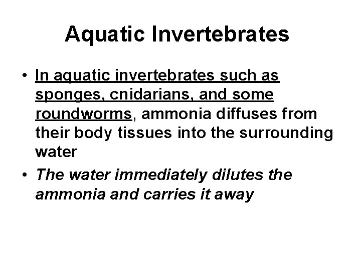 Aquatic Invertebrates • In aquatic invertebrates such as sponges, cnidarians, and some roundworms, ammonia