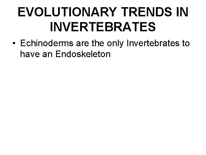 EVOLUTIONARY TRENDS IN INVERTEBRATES • Echinoderms are the only Invertebrates to have an Endoskeleton