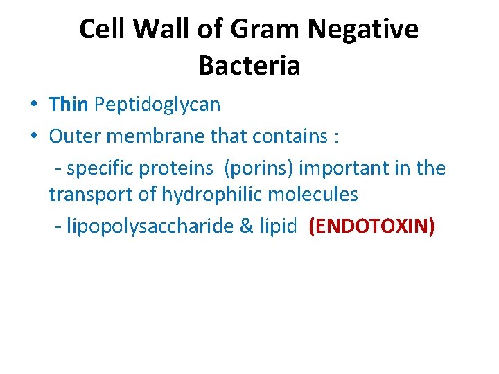 Cell Wall of Gram Negative Bacteria • Thin Peptidoglycan • Outer membrane that contains