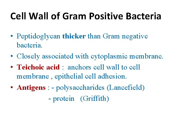 Cell Wall of Gram Positive Bacteria • Peptidoglycan thicker than Gram negative bacteria. •