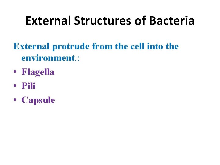 External Structures of Bacteria External protrude from the cell into the environment. : •